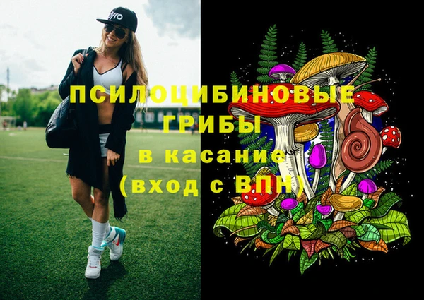 apvp Волосово
