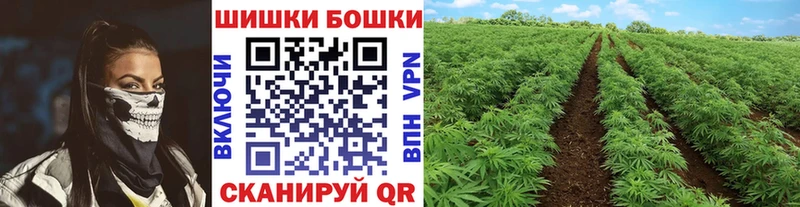 МАРИХУАНА Ganja  Георгиевск 
